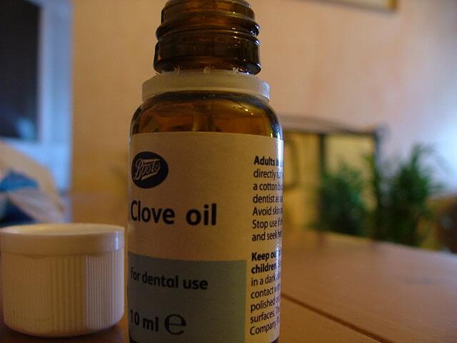 clove oil