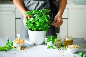 natural remedies basil