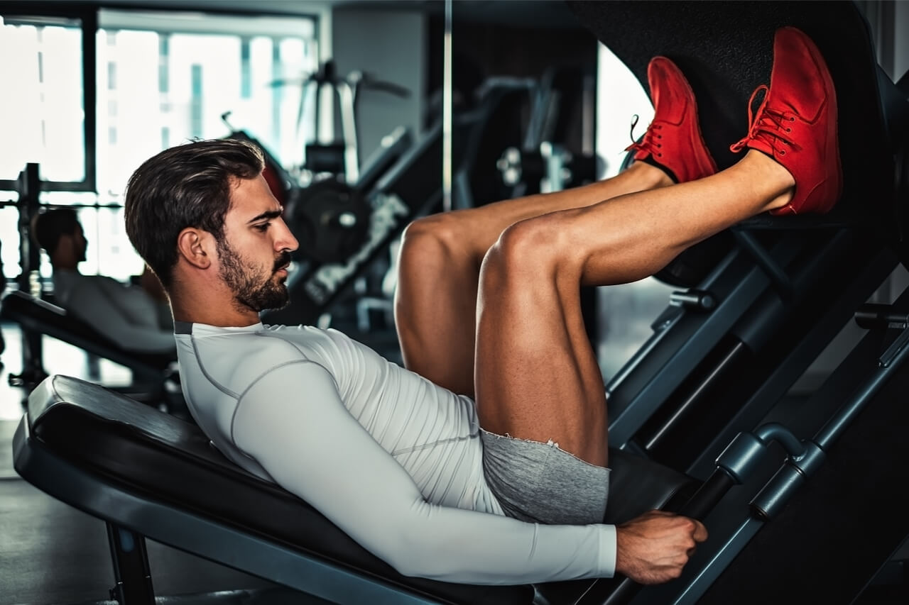 Best Exercise Equipment for Legs: Quality and Its Main Features