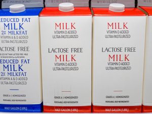 lactose-free milk